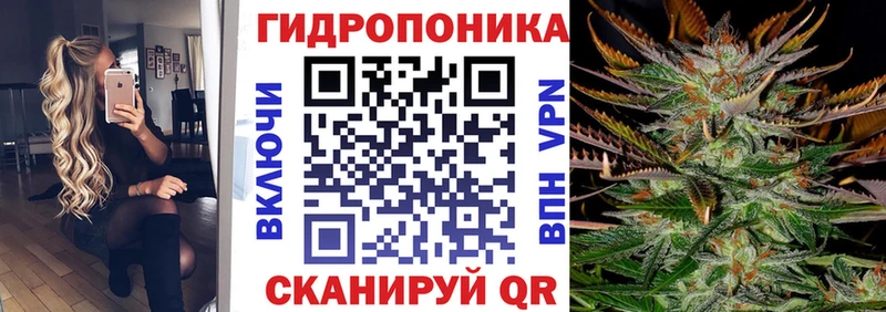 Купить закладки  Апшеронск  Конопля Amnesia 